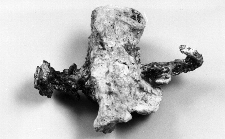 Nagel kruisiging Yehoha copy (1).jpg