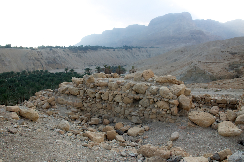 ALMU20110106_1238 Engedi wadi Arugot