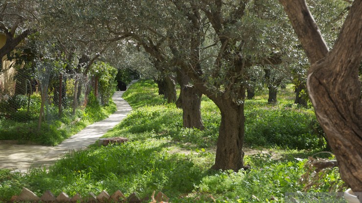 De berg van de Hemelvaart