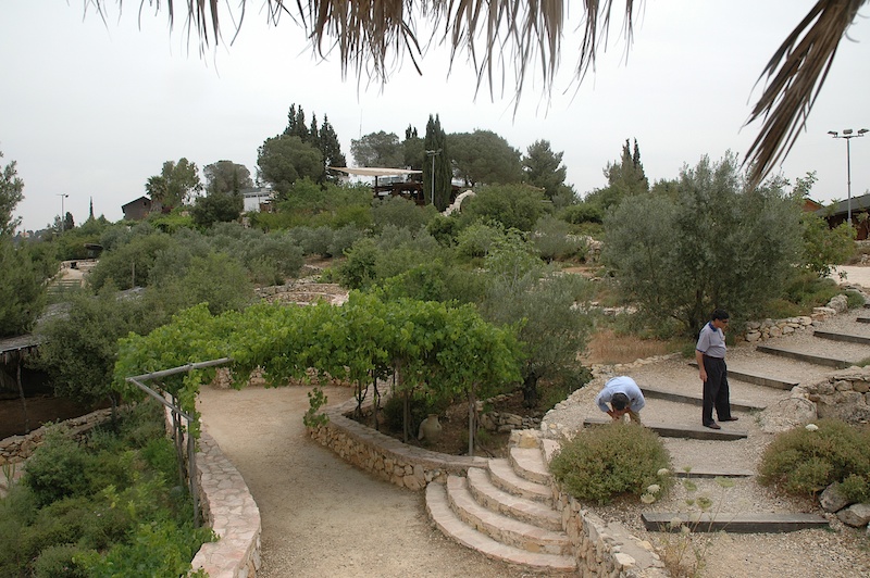 Boete voor Joods-Messiaanse mosjav om weigering homohuwelijk