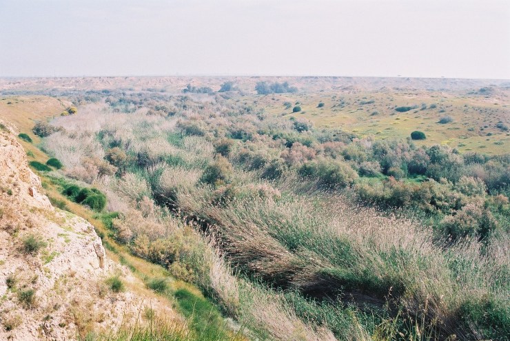 ALMU20050411_N20050228