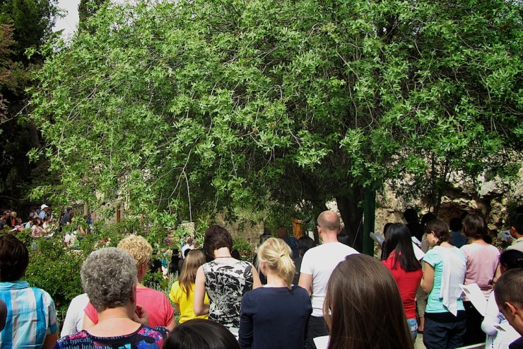 Topdrukte in de beroemde tuin. 