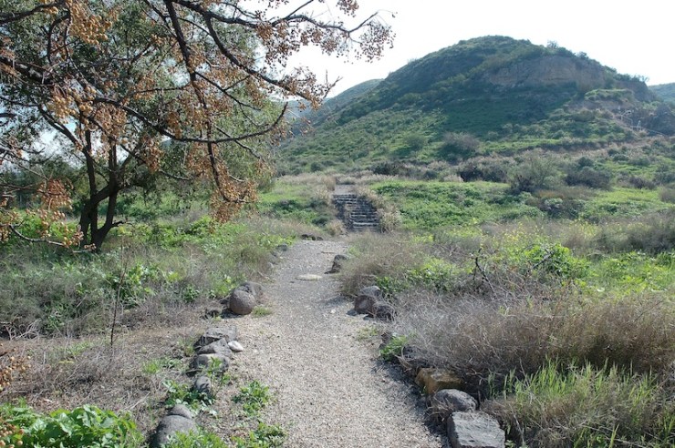 In het land der Gerasenen: het pad naar de grot waar de bezeten man woonde. Foto: © Alfred Muller 