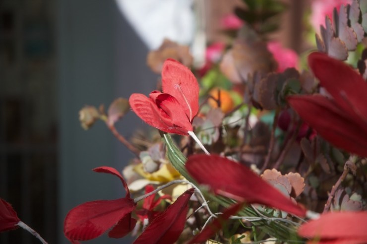 Bloemen in de huiskamer. 