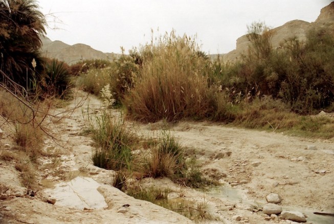 De beek Afek in het Zuiderland. Foto: © Alfred Muller
