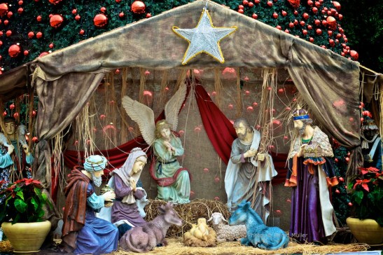 Kerststal op het Kribbeplein. 