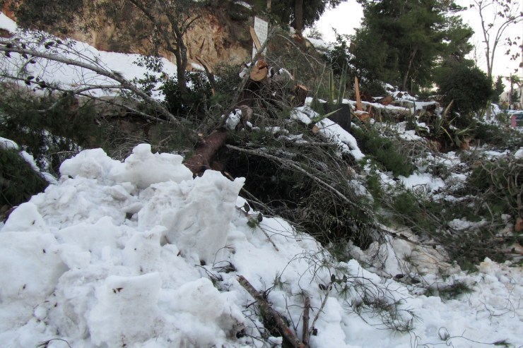 Trottoir bij het park. 