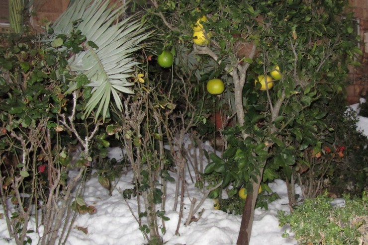 Hoop op betere tijden. 