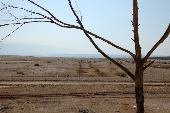 Bij Lido. Hier is te zien dat het waterpeil van de binnenzee is gezakt. Foto: © Alfred Muller  