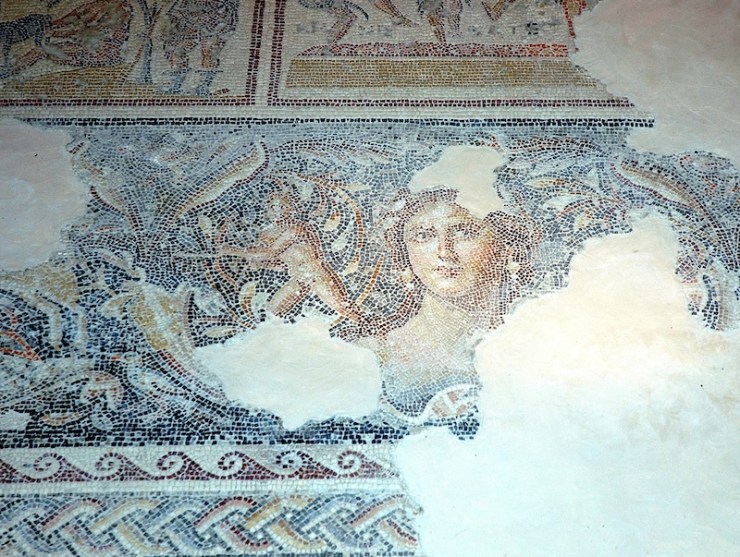Een mozaîek in Zippora. Het kunstwerk wordt wel 'de Mona Lisa van Galilea' genoemd. Foto: © Alfred Muller 