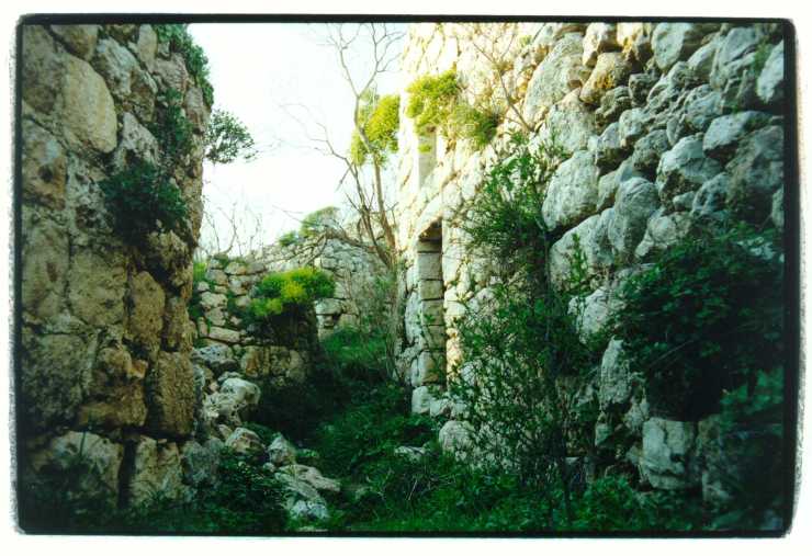 Overblijfselen van het Arabische dorp Suba ten westen van Jeruzalem die in de oorlog van 1948 werd verlaten. Foto: © Alfred Muller 