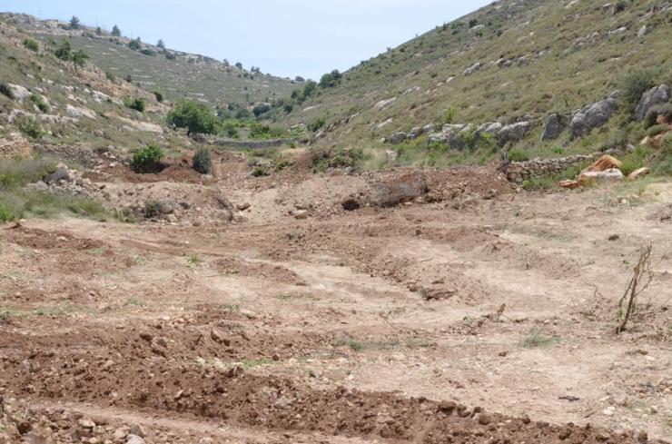 Het verwoeste veld bij de boerderij van de Nassar familie. Foto: Tent of Nations. 
