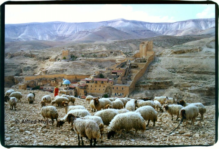 Het Mar Saba klooster in de Judese woestijn. Foto: © Alfred Muller. 