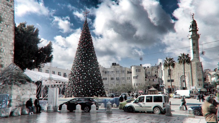 de kerstboom op het Kribbeplein. Foto: © Alfred Muller 