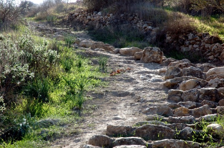 Traptreden die leiden naar de tel.