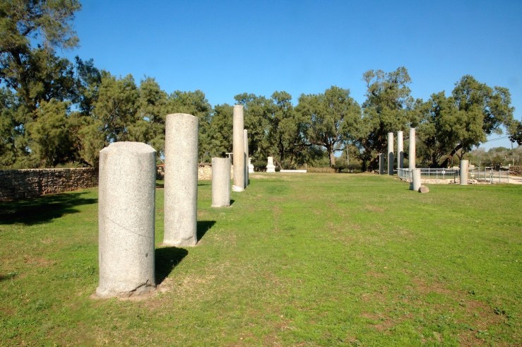 In de Romeinse basilica kwamen de Ashkelonieten bijeen voor vergaderingen en vermaak. Foto: Ā© Alfred Muller
