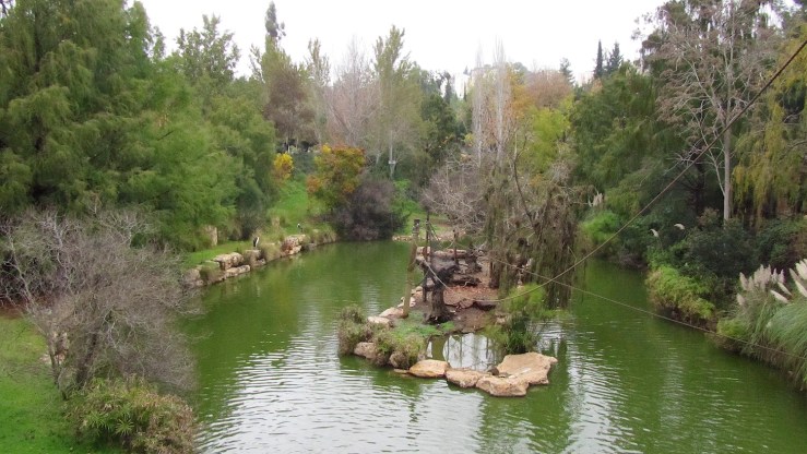 In de bijbelse dierentuin.