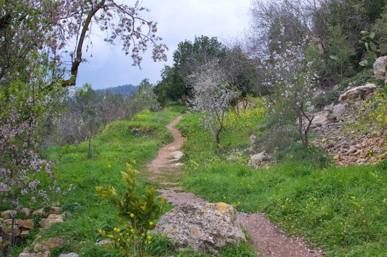 In het natuurgebied bij Ein Kerem tijdens het einde van de winter.