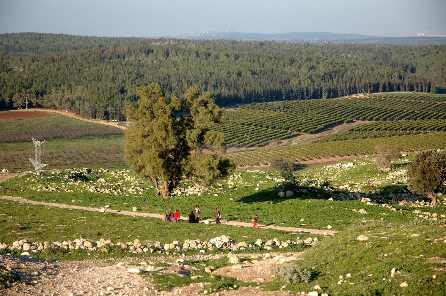 ALMU20100127_9527 Tel Tsafit bedoeïenen