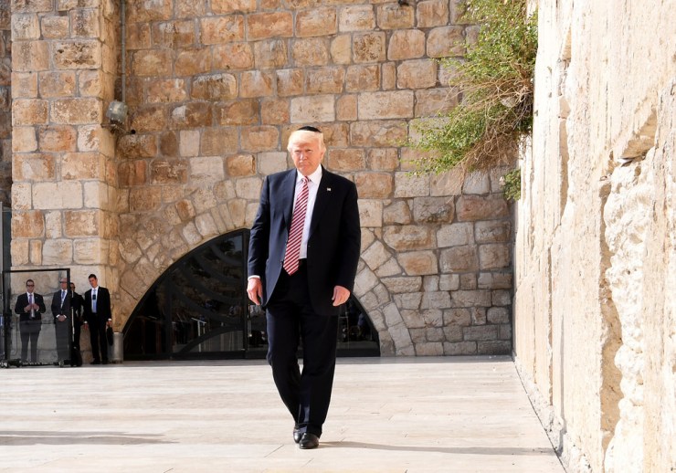 34696719801_6c7e3a1165_b