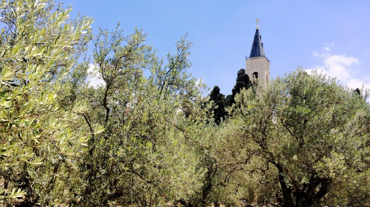 ALMU20170524_2472 (3).jpg