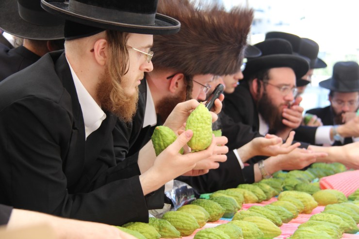 Løvhyttefest 2017, lulav-markedet 5 (H. Norberg)