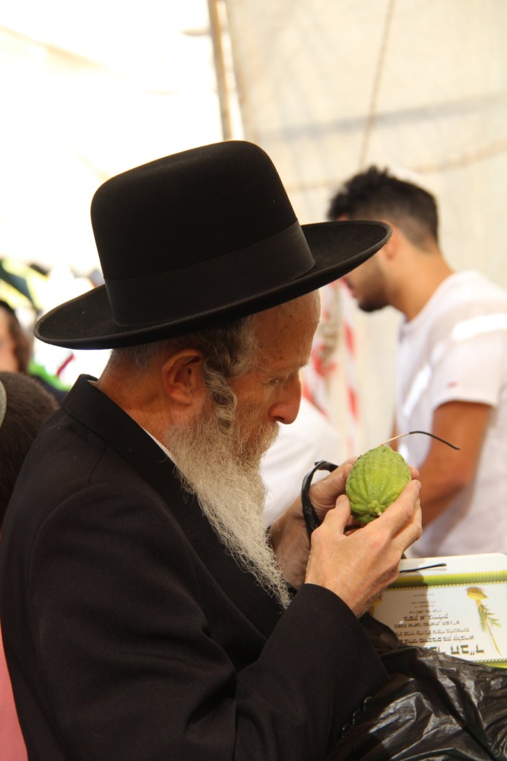 Løvhyttefest 2017, lulav-markedet 7 (H. Norberg)