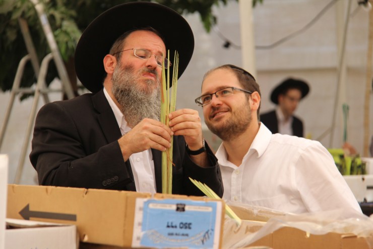 Løvhyttefest 2017, lulav-markedet 9 (H. Norberg)