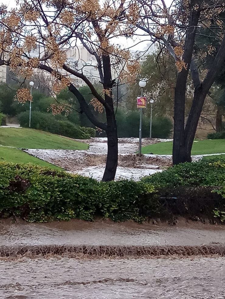 WhatsApp Image 2018-01-05 at 13.38.11