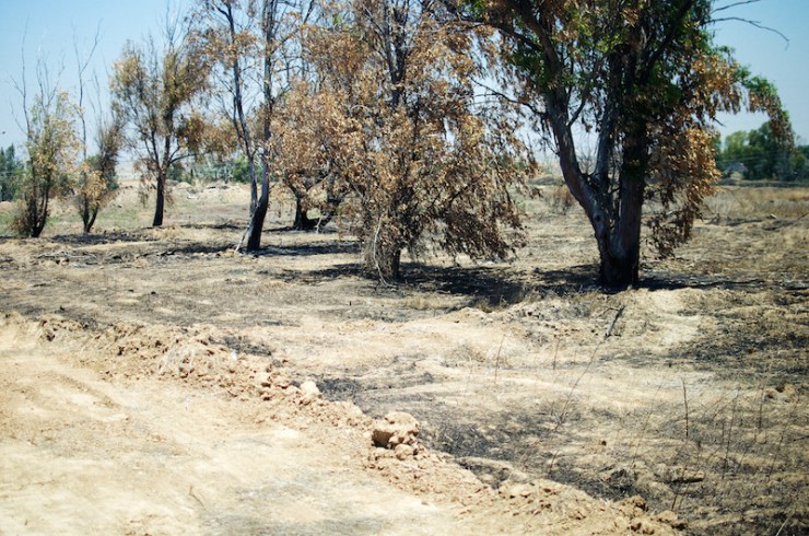 Verbrand gebied bij kibboets Nahal Oz.