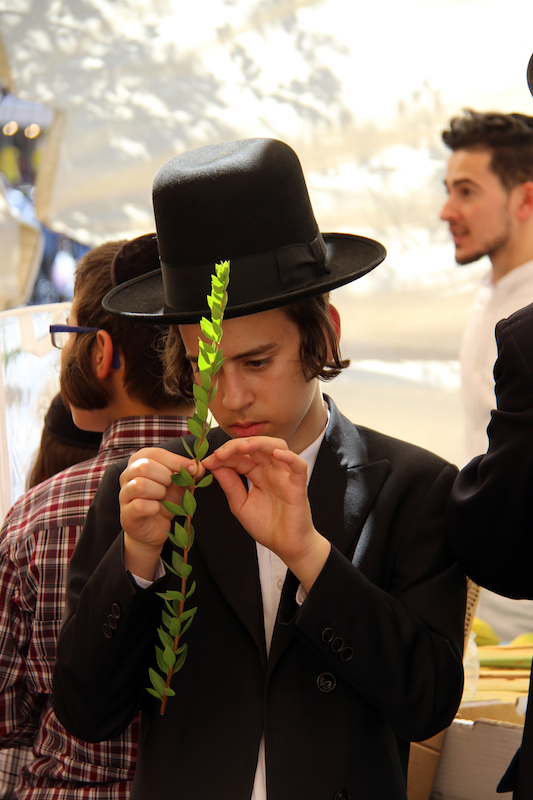 Lovhyttefest 2018, kjop av lul av 11 (Foto Heljä Norberg)