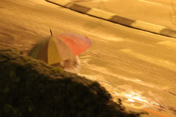 snø i jerusalem 16.1.2019 paraply (h.n.)