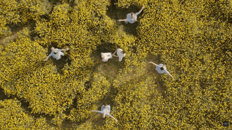 Screen Shot 2019-05-18 at 10.56.16 PM