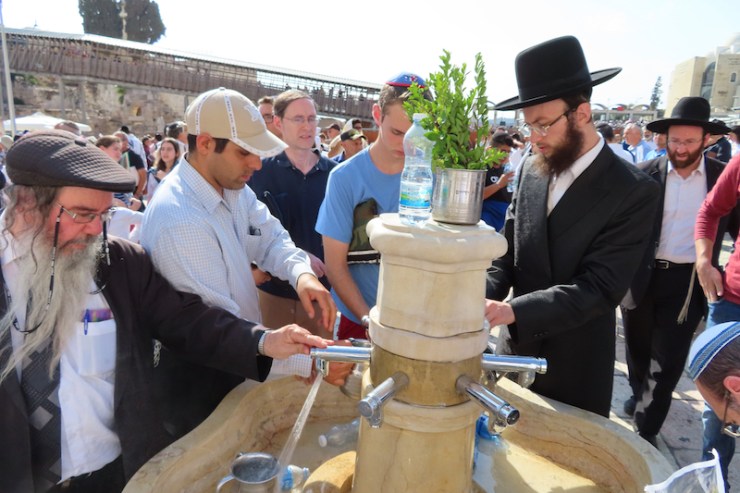 UDF 4, Birkat kohanim lovhyttefes t 16.10.2019 håndvask (V.N.)