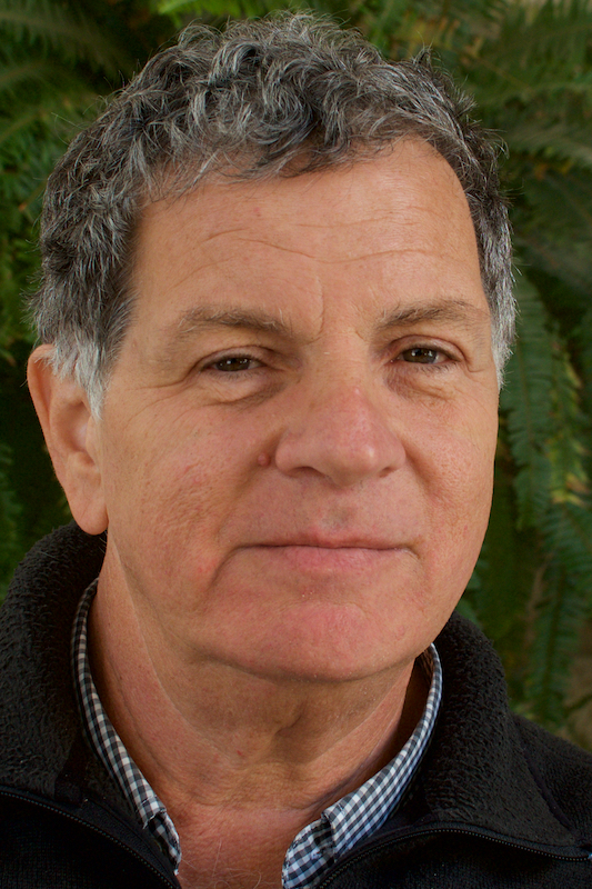 Rev. David Pileggi, rector Christ Church.